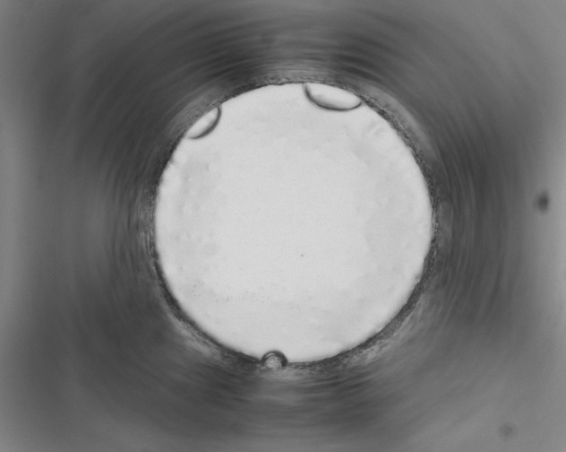 X0000116421241201001191443