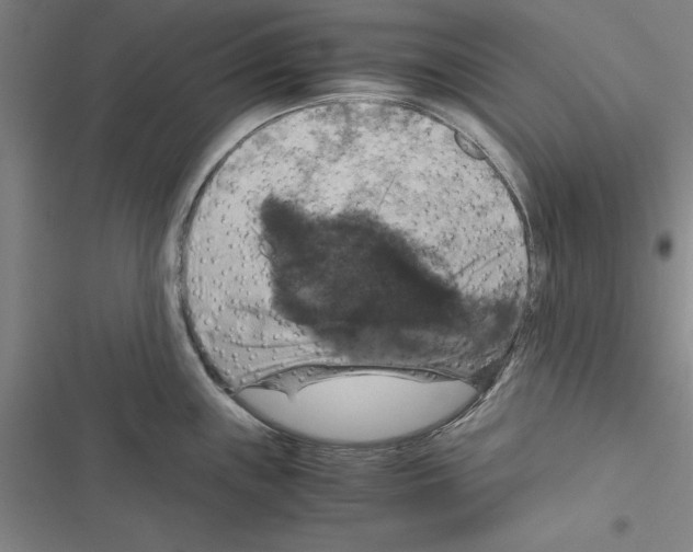 X0000116421243201001191443