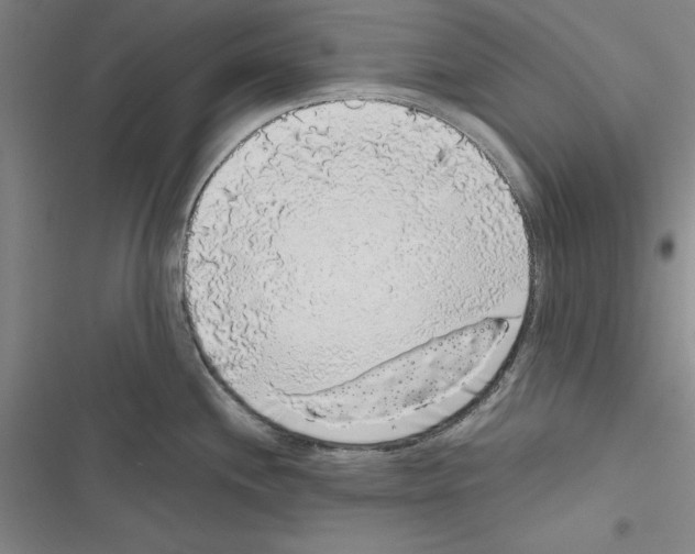 X0000116421244201001191443