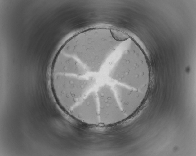 X0000116421245201001191443