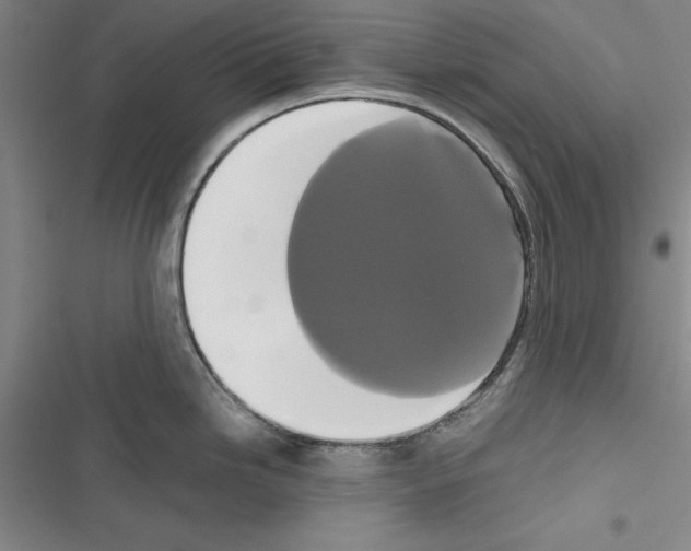 X0000116421246201001191443