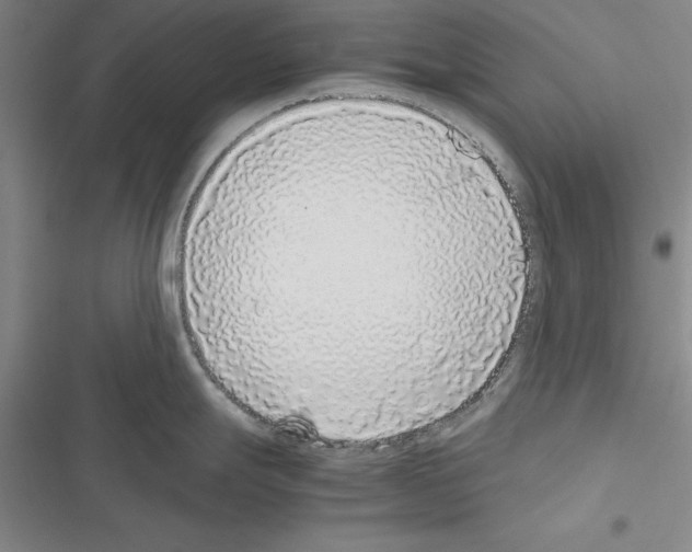 X0000116421247201001191443