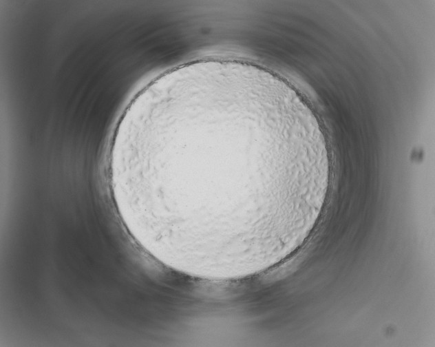 X0000116421248201001191443