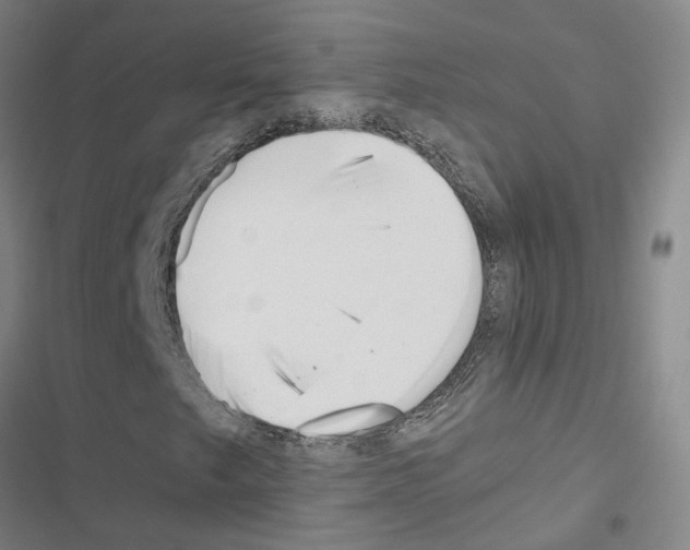 X0000116421249201001191443