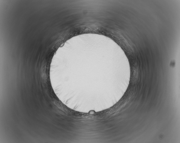 X0000116421250201001191443