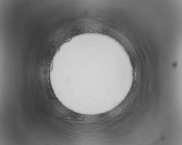 X0000116421251201001191443