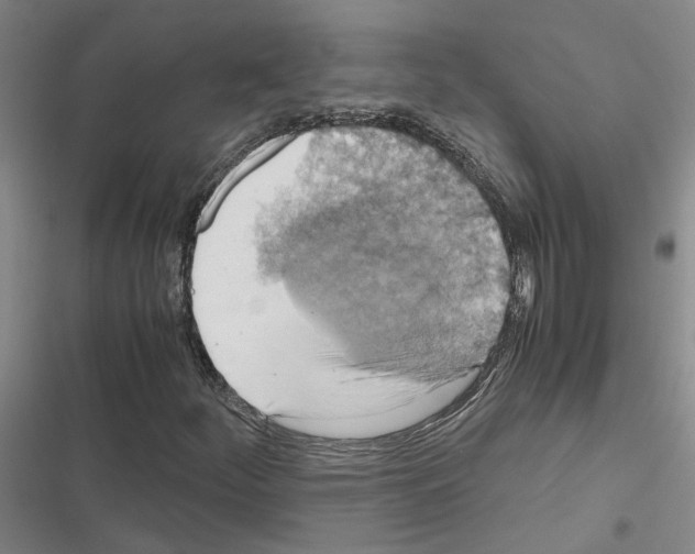 X0000116421252201001191443