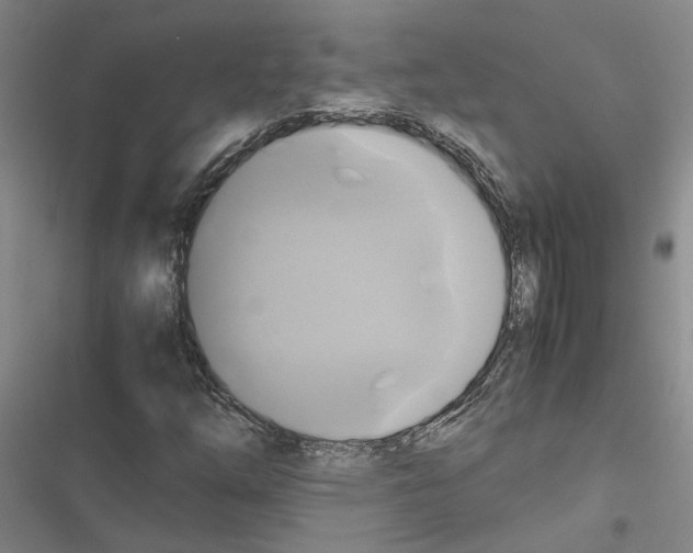 X0000116421254201001191442