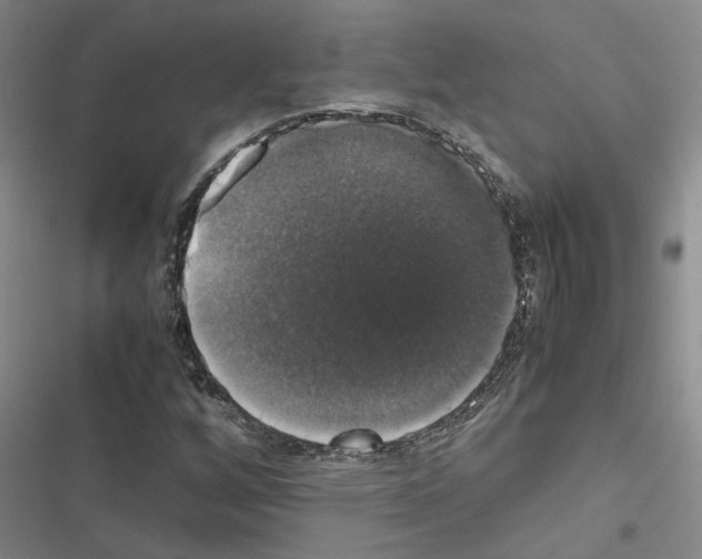 X0000116421256201001191442