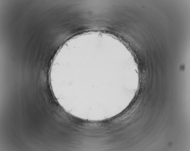 X0000116421257201001191442