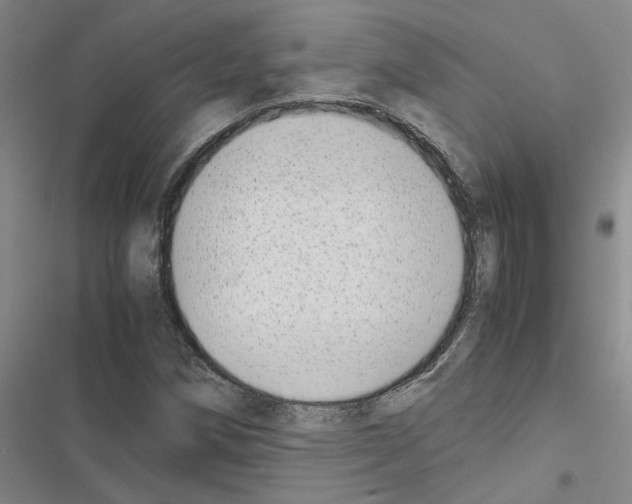X0000116421258201001191442