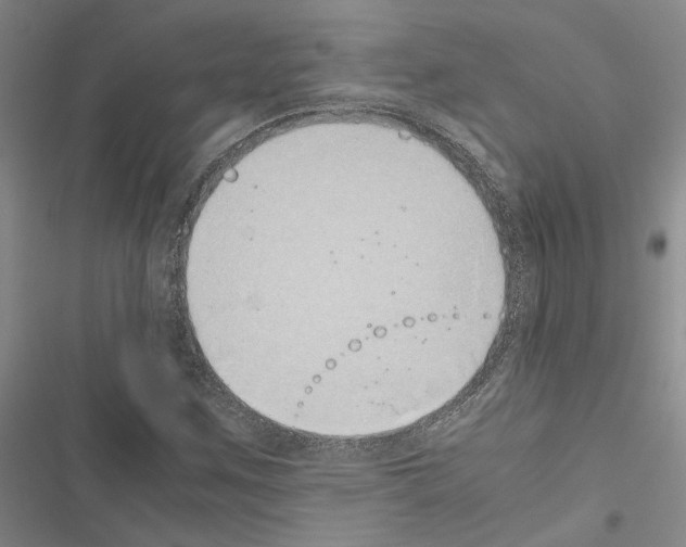 X0000116421259201001191442