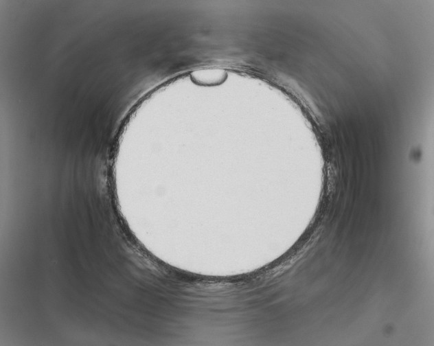 X0000116421260201001191442