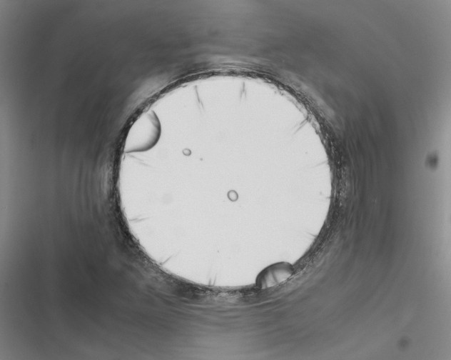 X0000116421261201001191442