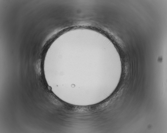 X0000116421262201001191442