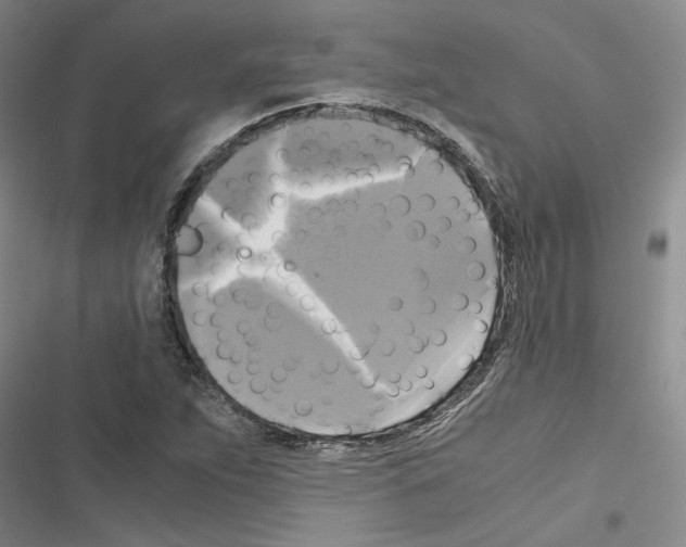 X0000116421263201001191442