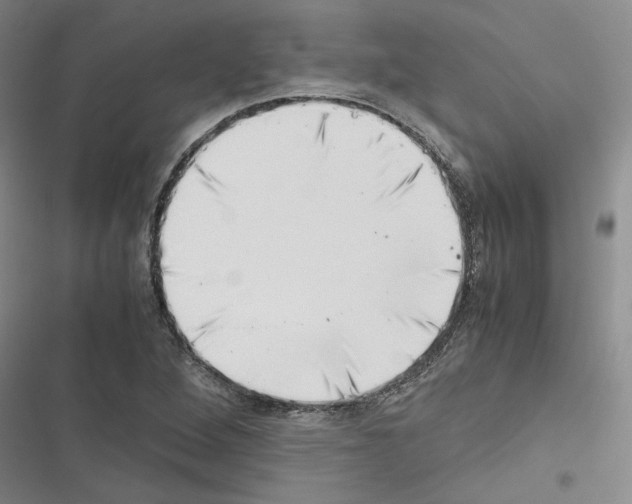 X0000116421264201001191442