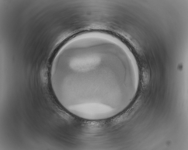 X0000116421266201001191442