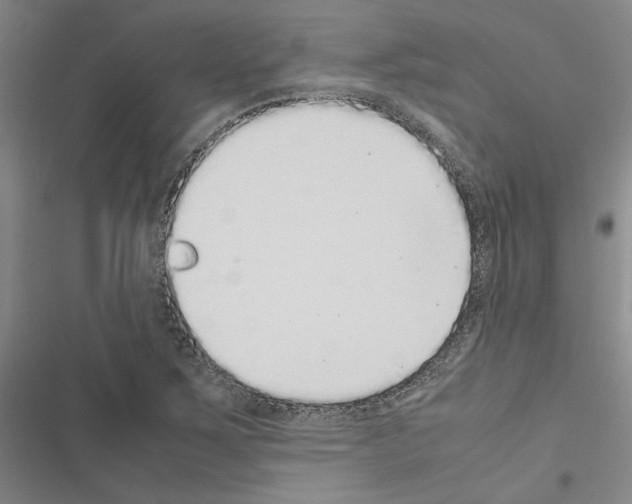 X0000116421267201001191442