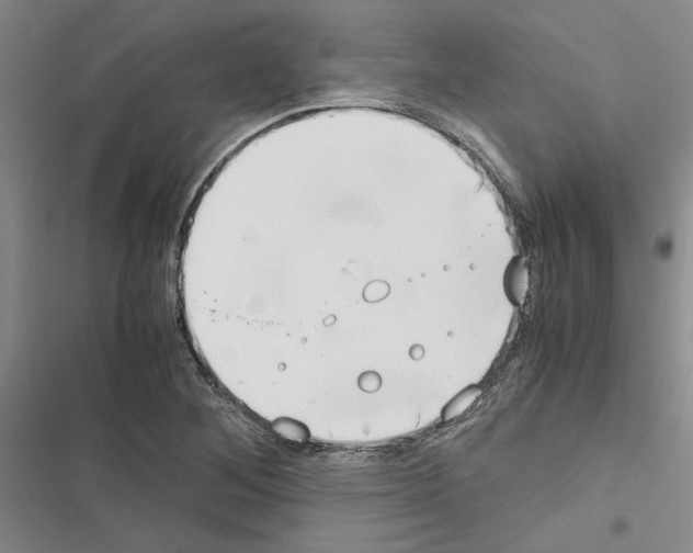 X0000116421268201001191442