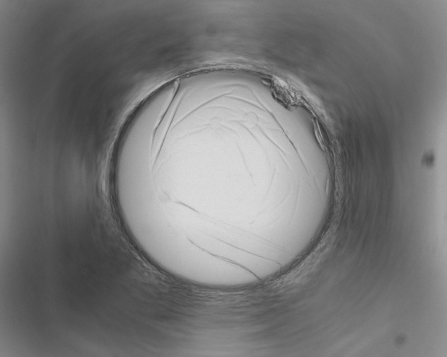 X0000116421269201001191442