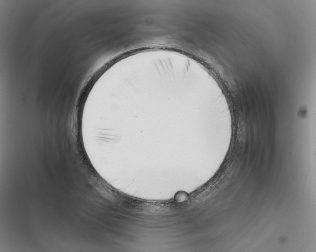 X0000116421270201001191442