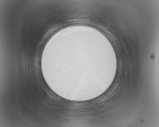 X0000116421271201001191442