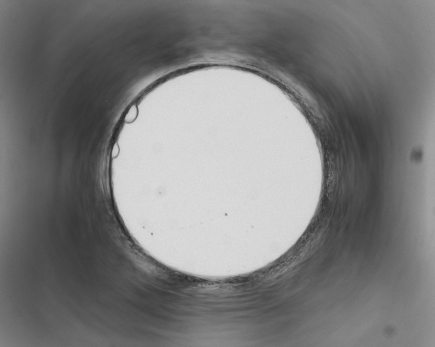 X0000116421272201001191442