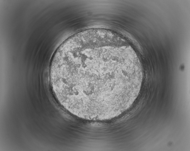 X0000116421274201001191442