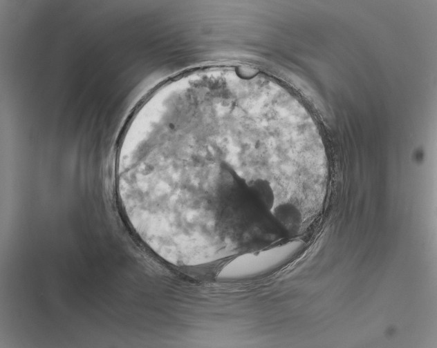 X0000116421275201001191442