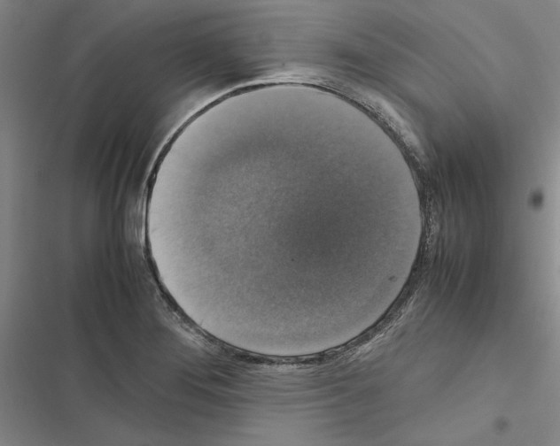 X0000116421276201001191442