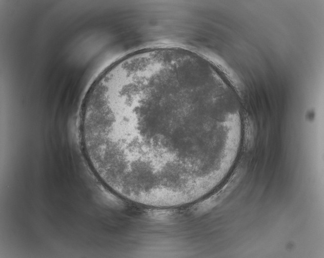 X0000116421278201001191442