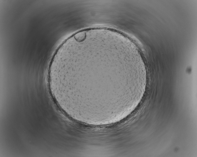 X0000116421279201001191442
