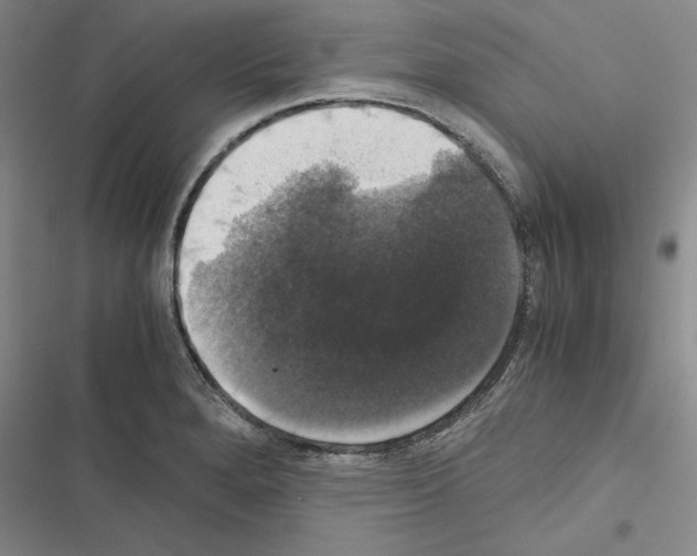 X0000116421280201001191442