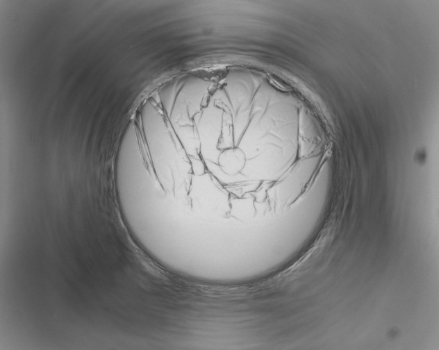 X0000116421281201001191442