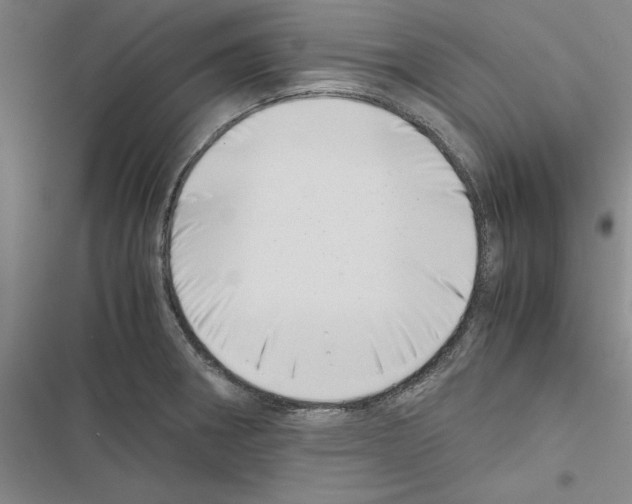 X0000116421282201001191442