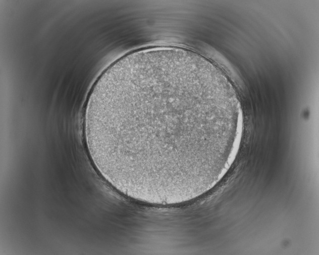 X0000116421284201001191442
