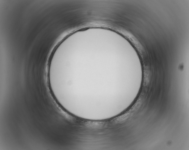 X0000116421286201001191442