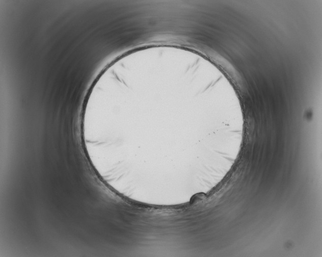 X0000116421288201001191442