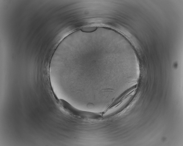 X0000116421289201001191442