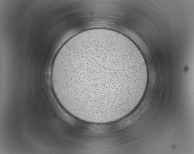 X0000116421290201001191442