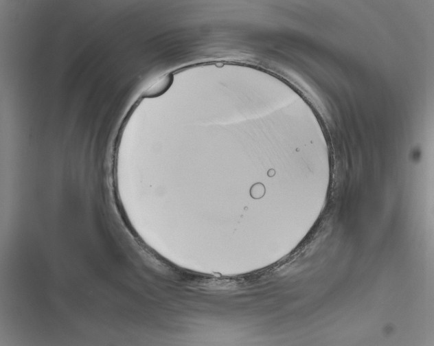 X0000116421291201001191442