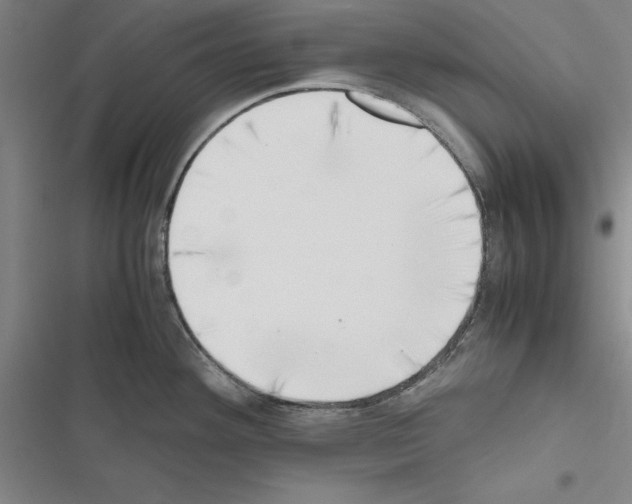 X0000116421292201001191442