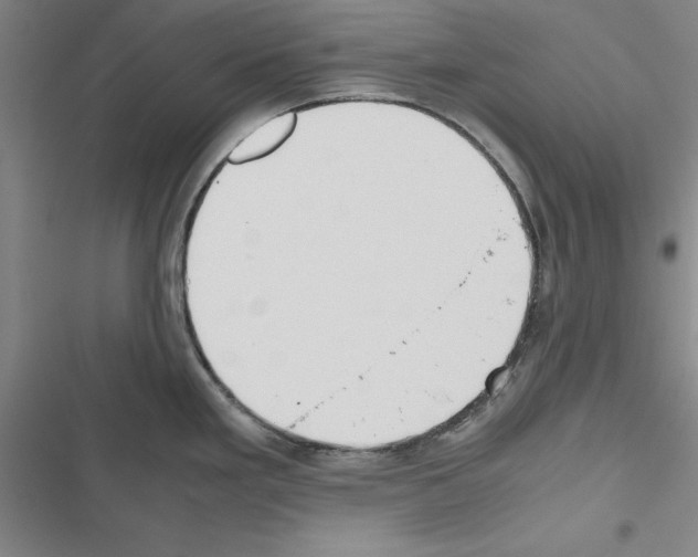 X0000116421293201001191442