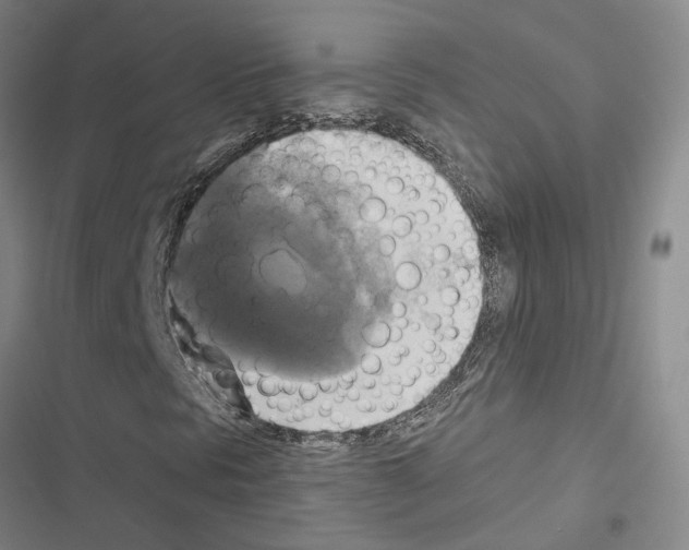 X0000116421297201001191441