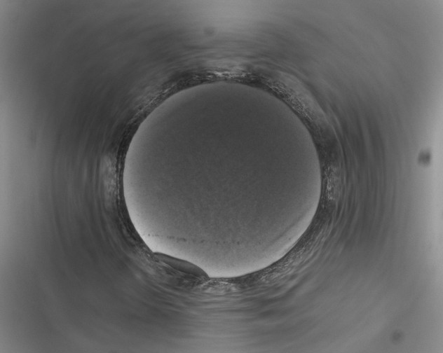 X0000116421298201001191441