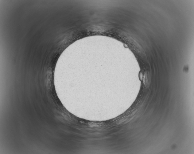 X0000116421299201001191441