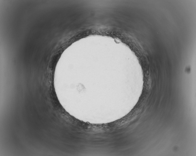 X0000116421301201001191441