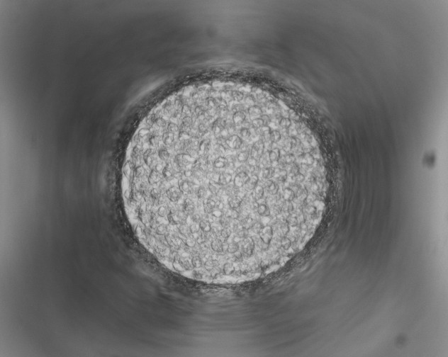 X0000116421302201001191441