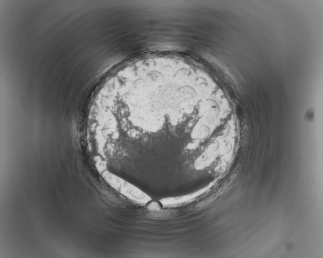X0000116421305201001191441